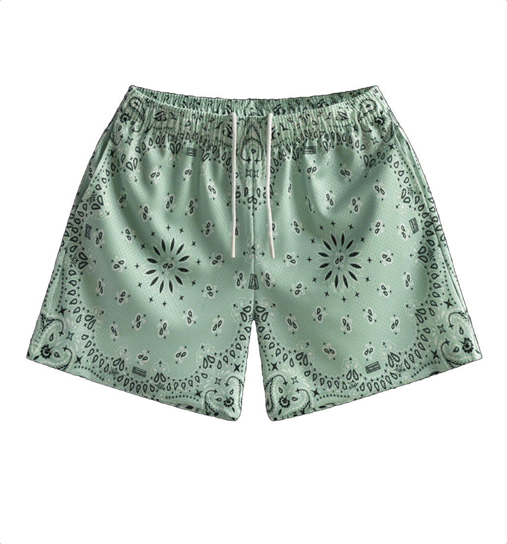 Mint Green Paisley Mesh Shorts